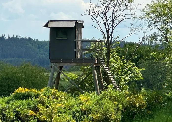 With Sauna In The Eifel National Park *